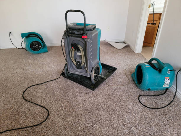 Best Flooded house restoration  in Cheree, OK